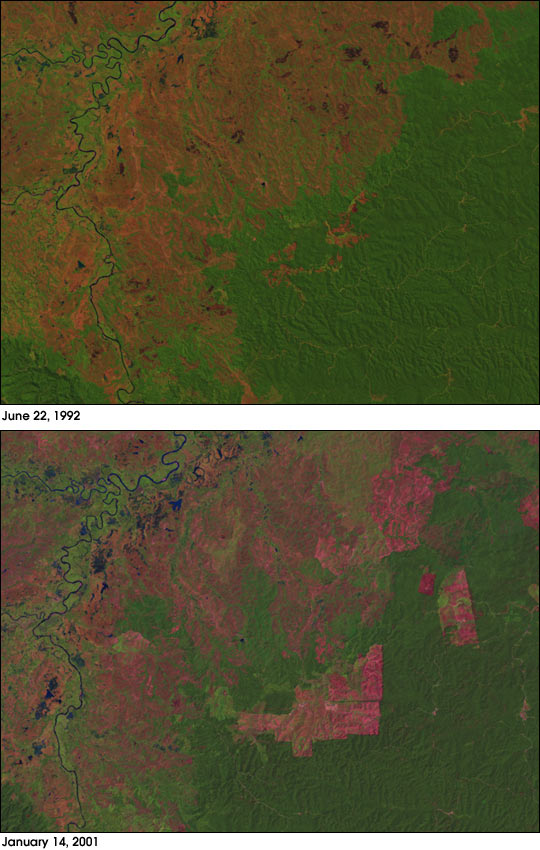 Deforestation in Sumatra