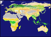 New Land Cover Classification Maps