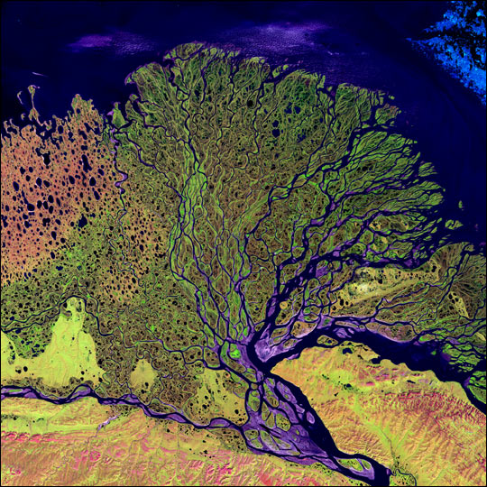 Lena River Delta