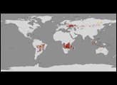 Global Fire Maps