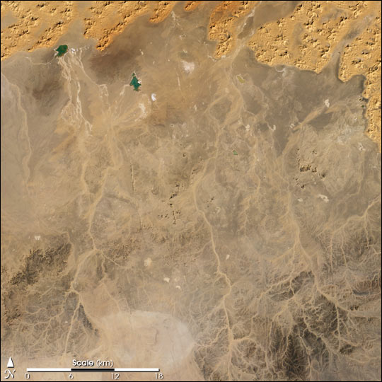 Saharan Wadis