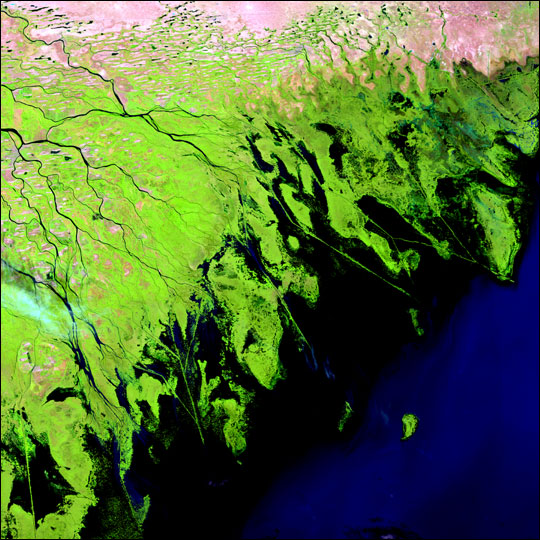 Volga River Delta - related image preview