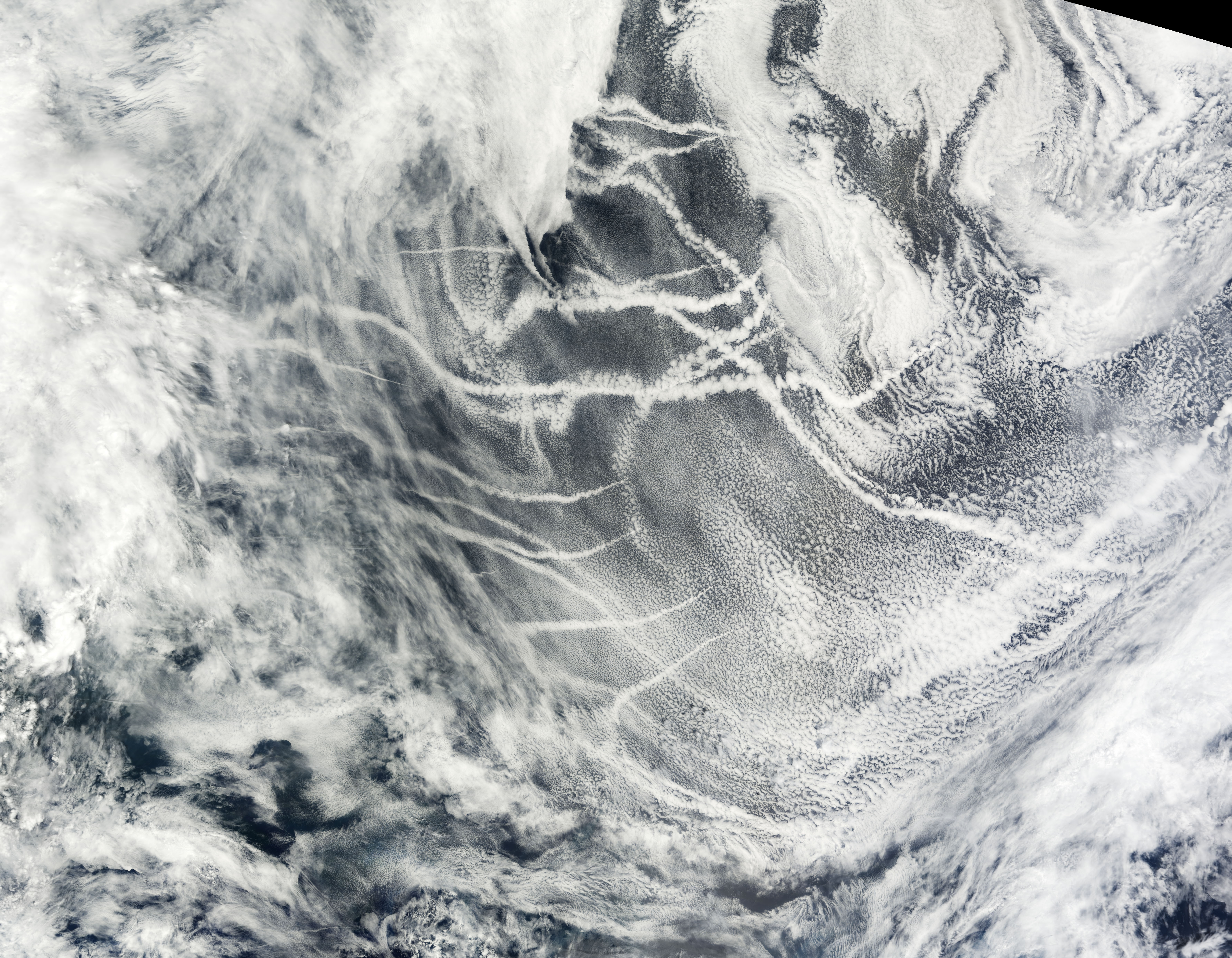 Ship Tracks in the Northern Pacific - related image preview