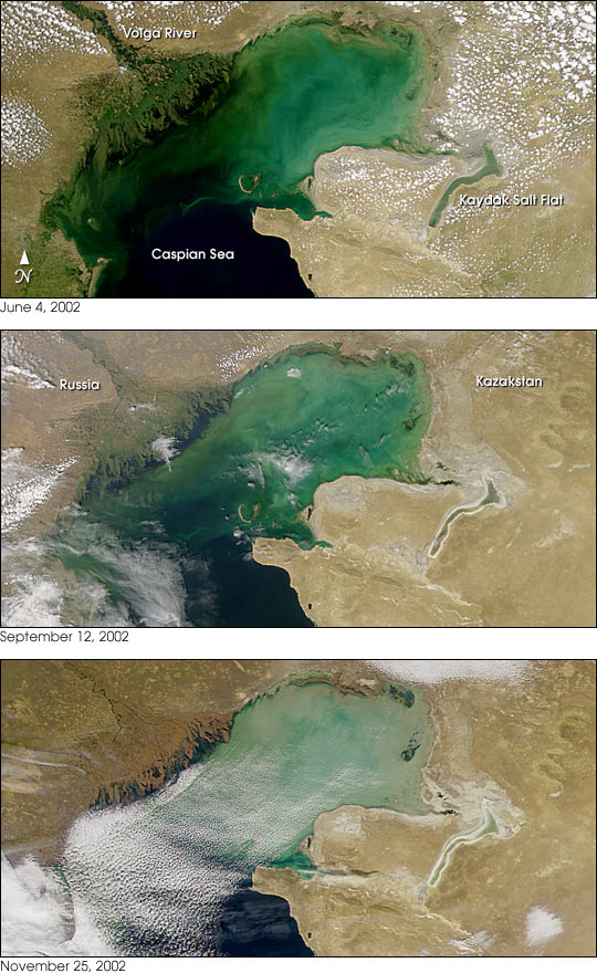 Sediment Clouds the Caspian Sea