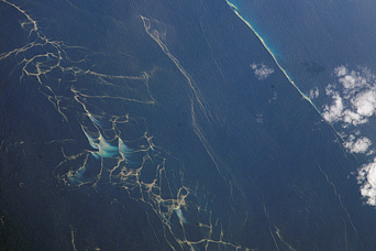 Plankton Blooms, Capricorn Channel - related image preview