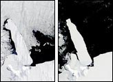 Unusual Ice Conditions In Ross Sea