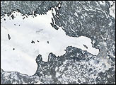 Bitter Winter Freezes Gulf of Finland