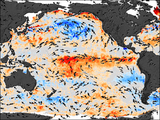 El Niño, the Usual Suspect?