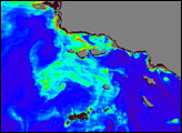Phytoplankton Bloom off California’s Channel Islands