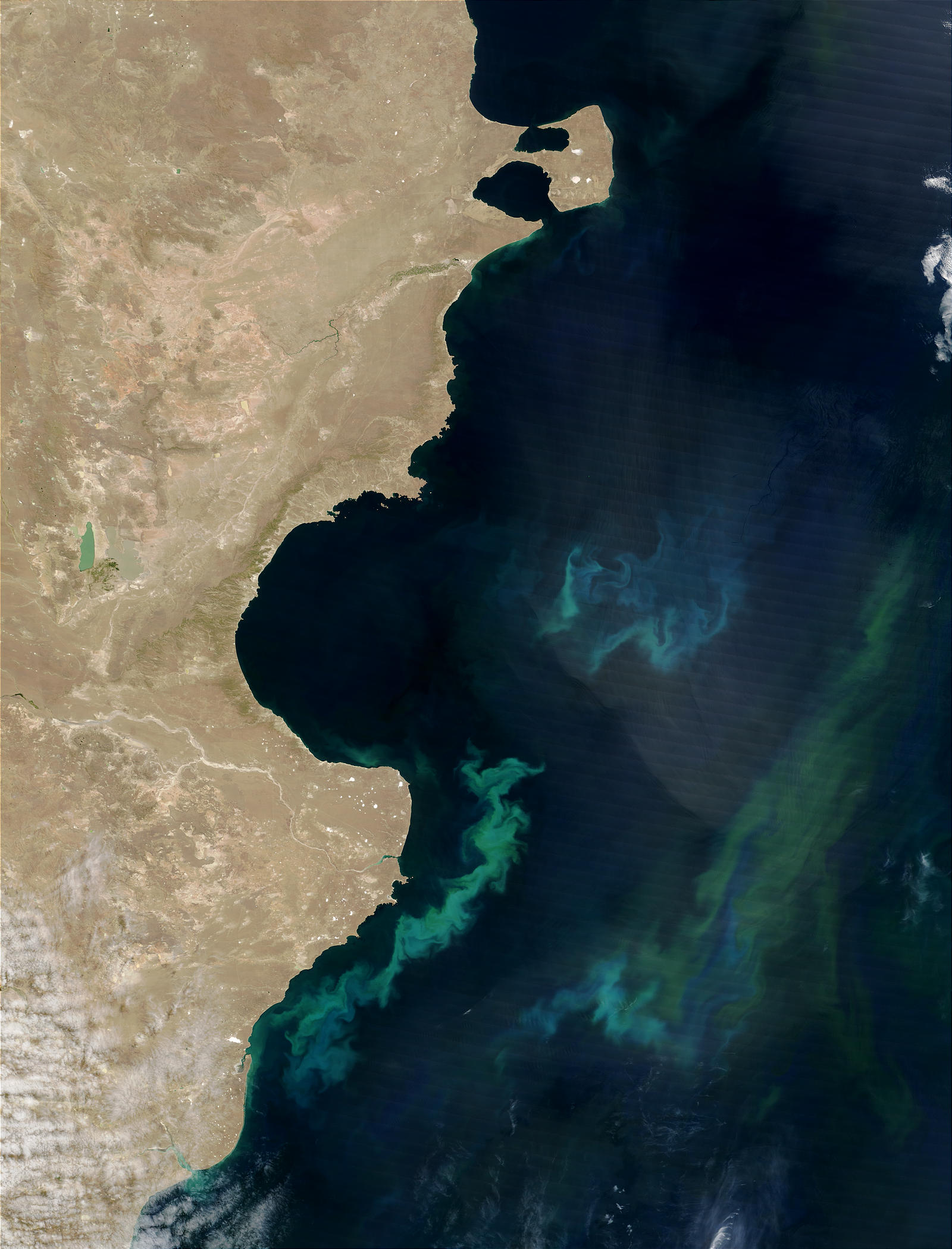 South Atlantic Phytoplankton Bloom - related image preview