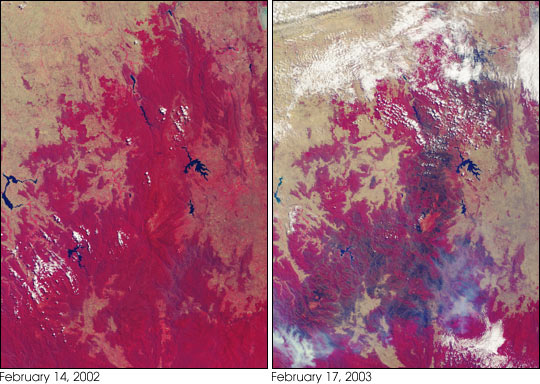 Drought and Burn Scars in Southeastern Australia