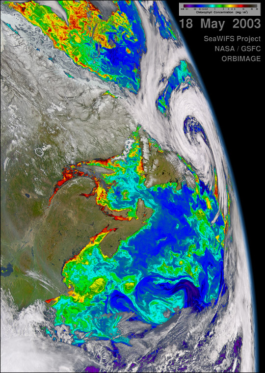 Biological Activity around Maritime Canada