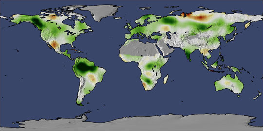 Change in Global Plant Productivity - related image preview