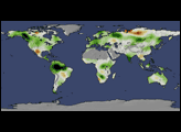 Change in Global Plant Productivity