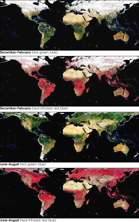 Global, Seasonal Surface Albedos