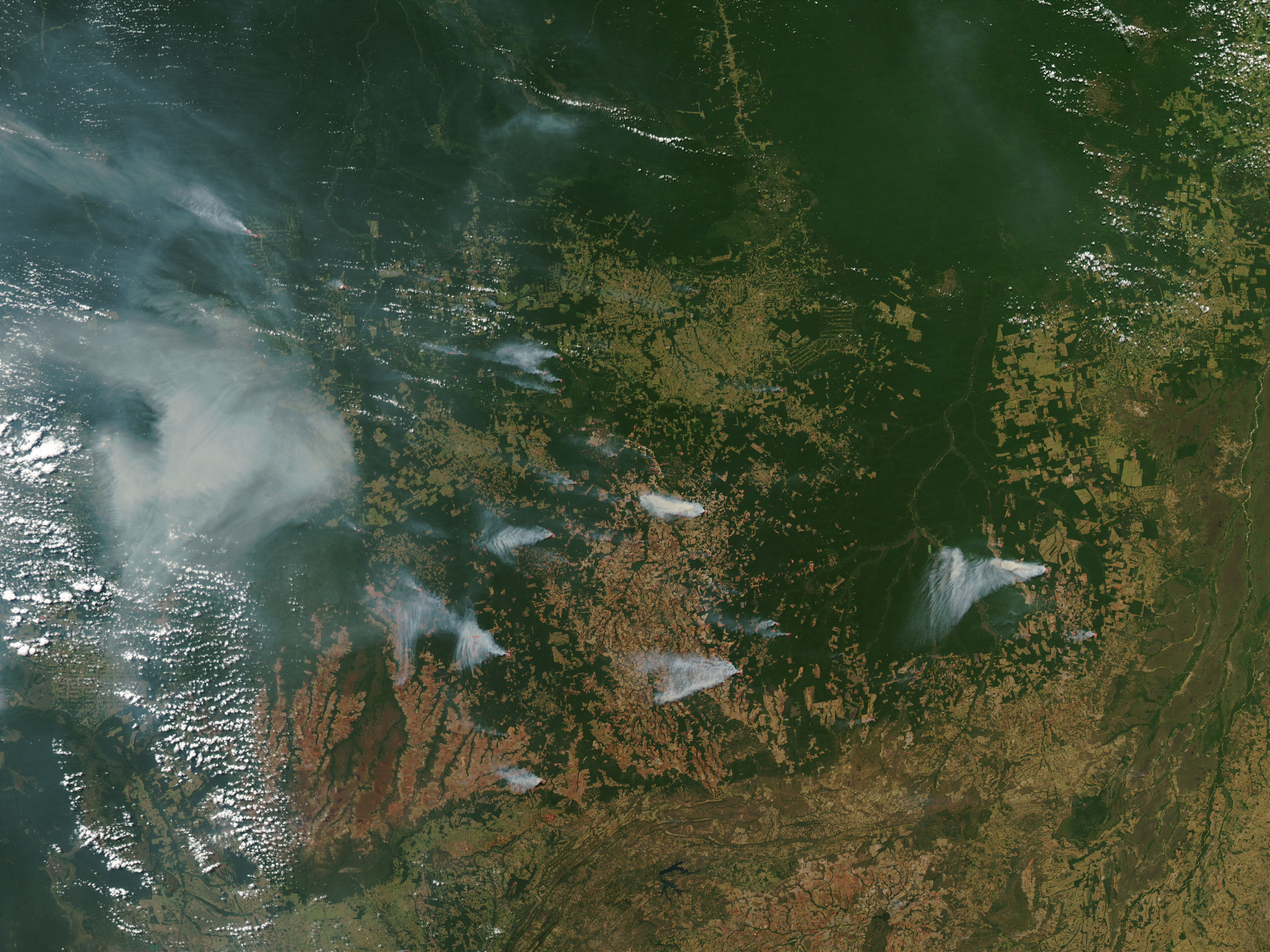 Extensive Fires in the Amazon - related image preview