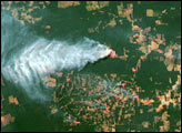 Extensive Fires in the Amazon