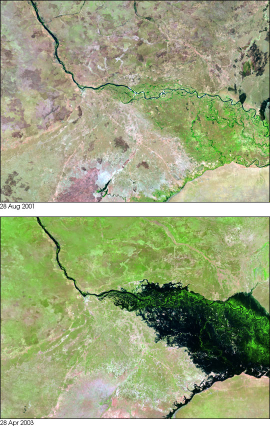 Flooding along the Zambezi River