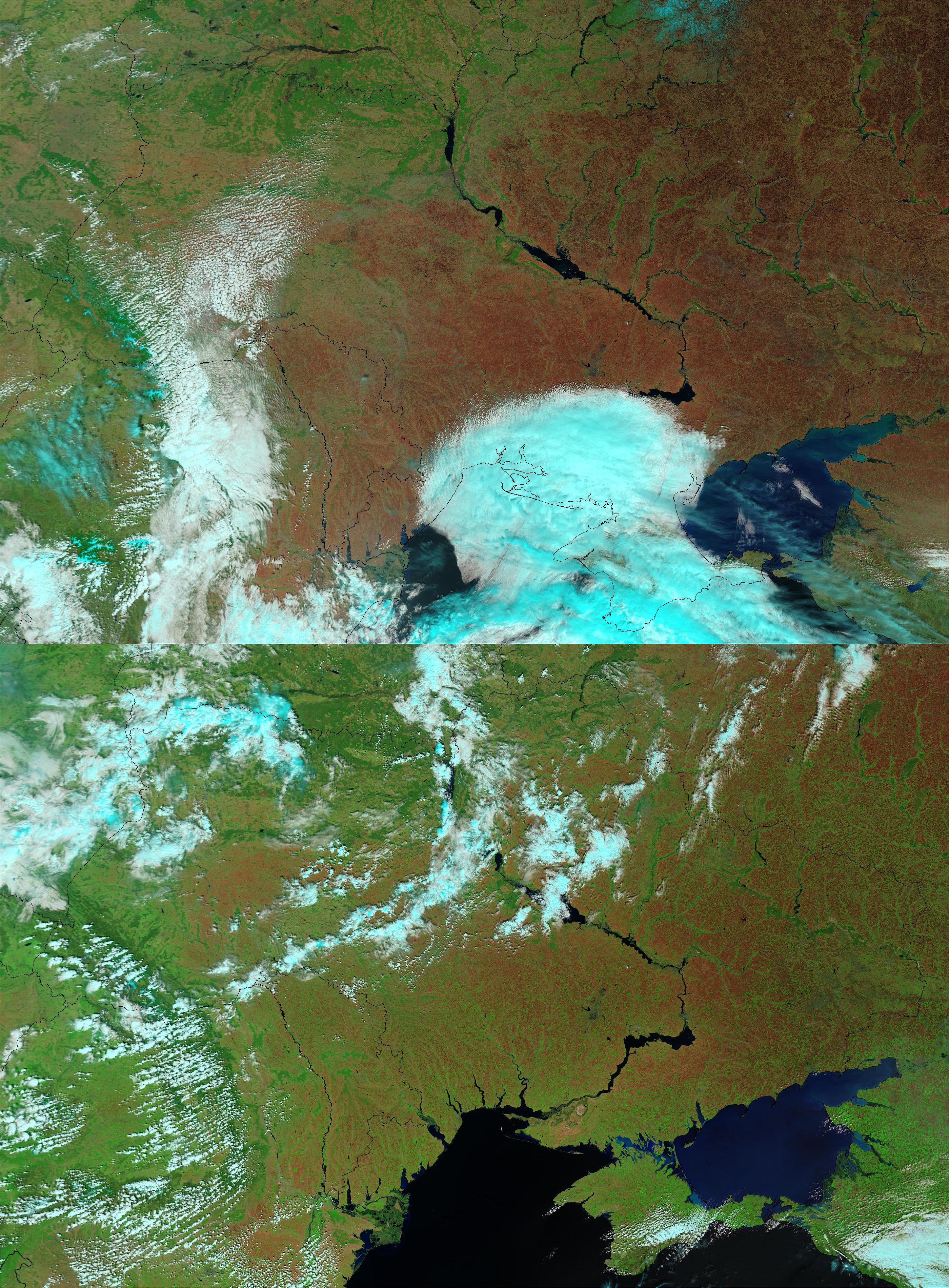 Icy Spring Decimates Winter Crops in Ukraine - related image preview