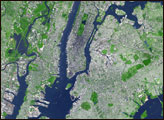 New York City - selected image