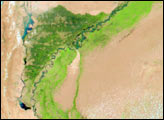 Flooding Along the Indus River