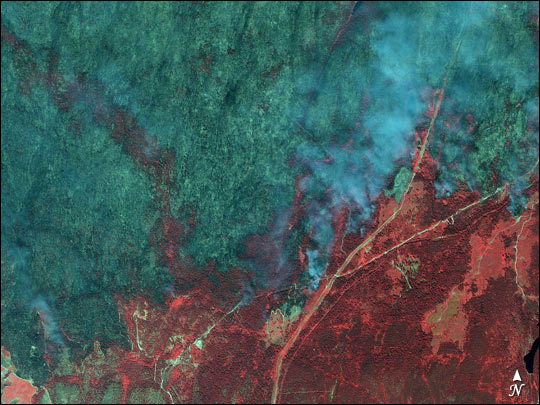 Close-up of Okanagan Fire, British Columbia