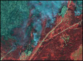 Close-up of Okanagan Fire, British Columbia