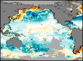 Changes in Ocean Productivity 
