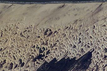 Coastal Dunes, Brazil - related image preview