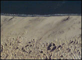 Coastal Dunes, Brazil - selected image