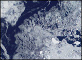 Ice in the Labrador Sea