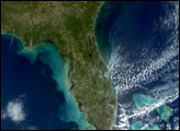 Passing Storms Churn Gulf Coast Waters 