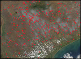 Fires in Mozambique, Zimbabwe, and South Africa