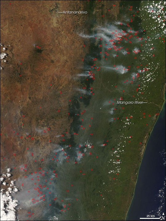 Fires in Madagascar - related image preview