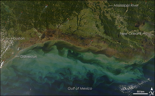 Wetland Damage Along the Gulf Coast
