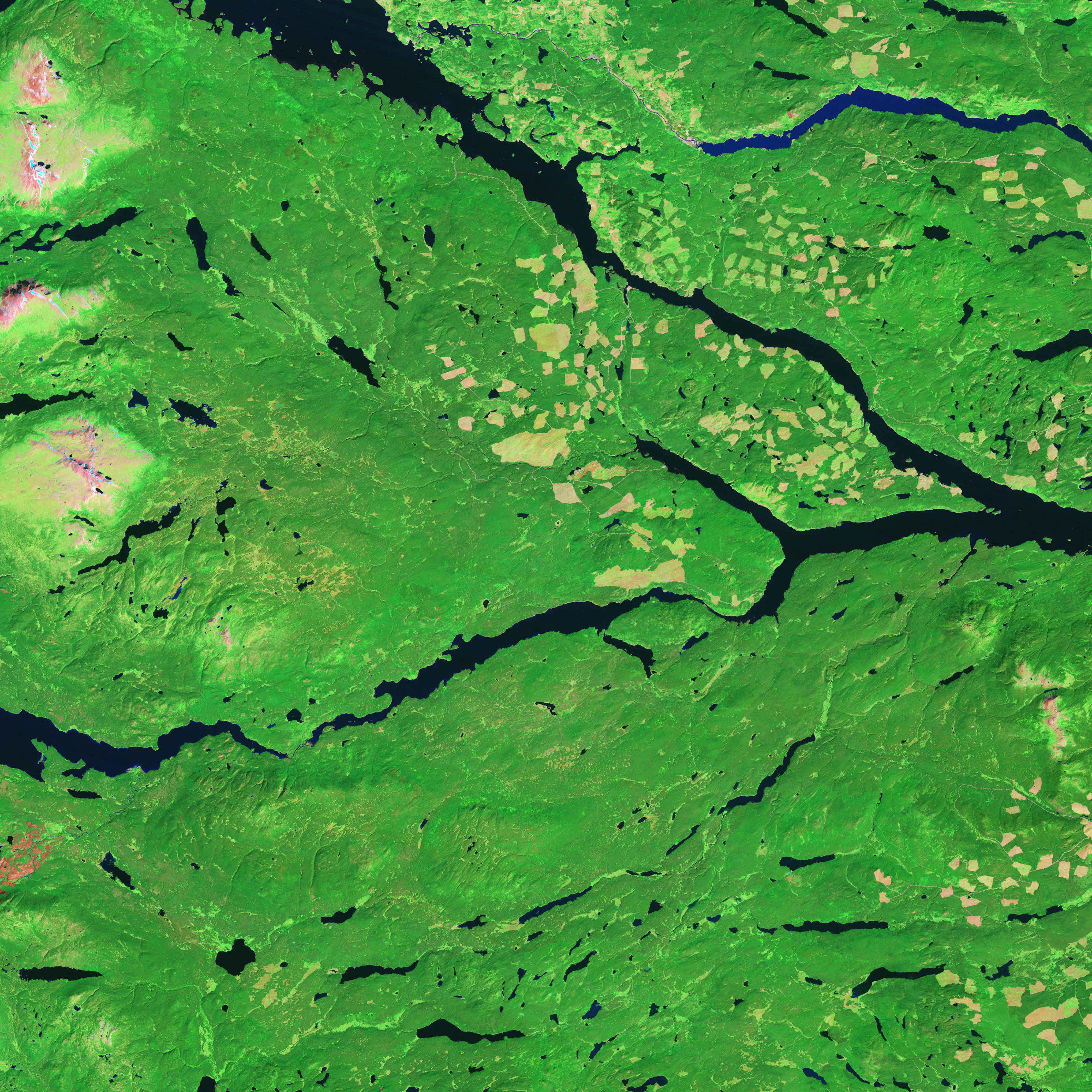 Forest Changes in British Columbia - related image preview