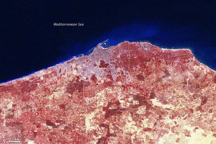 Tripoli, Libya - related image preview
