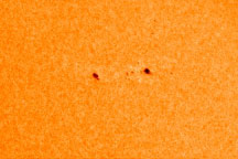 New Sunspot Cycle Begins
