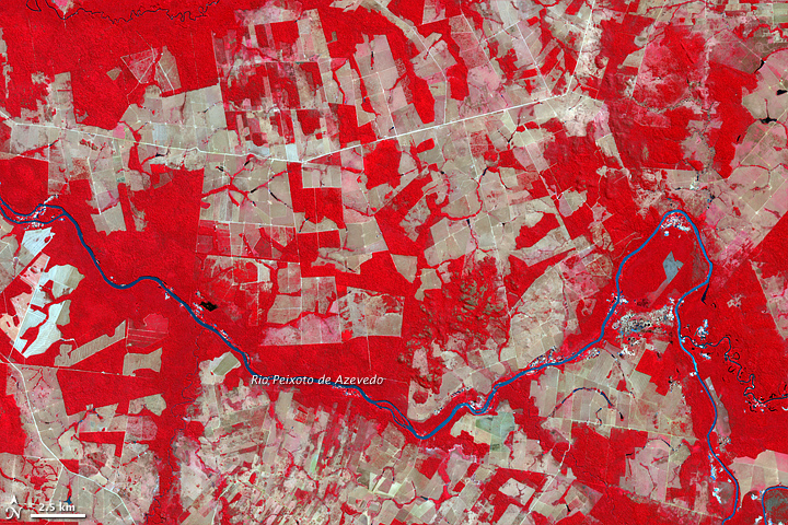 Deforestation in Mato Grosso, Brazil