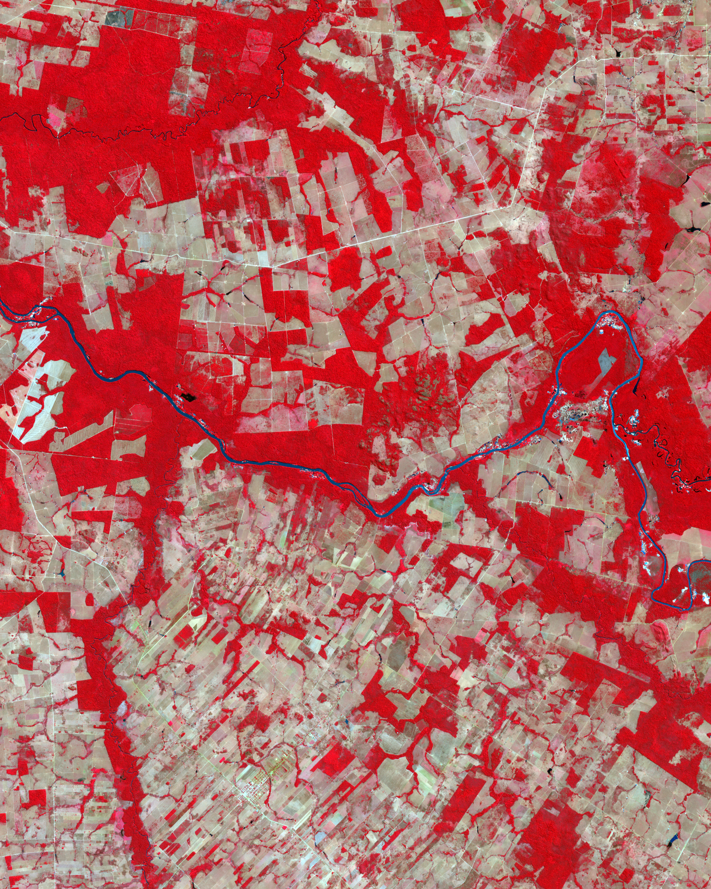 Deforestation in Mato Grosso, Brazil - related image preview