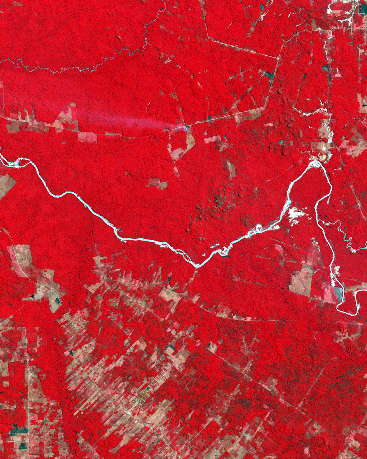 Deforestation in Mato Grosso, Brazil - related image preview