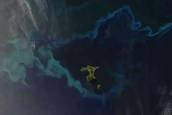 Plankton Bloom Surrounds Chatham Islands - related image preview