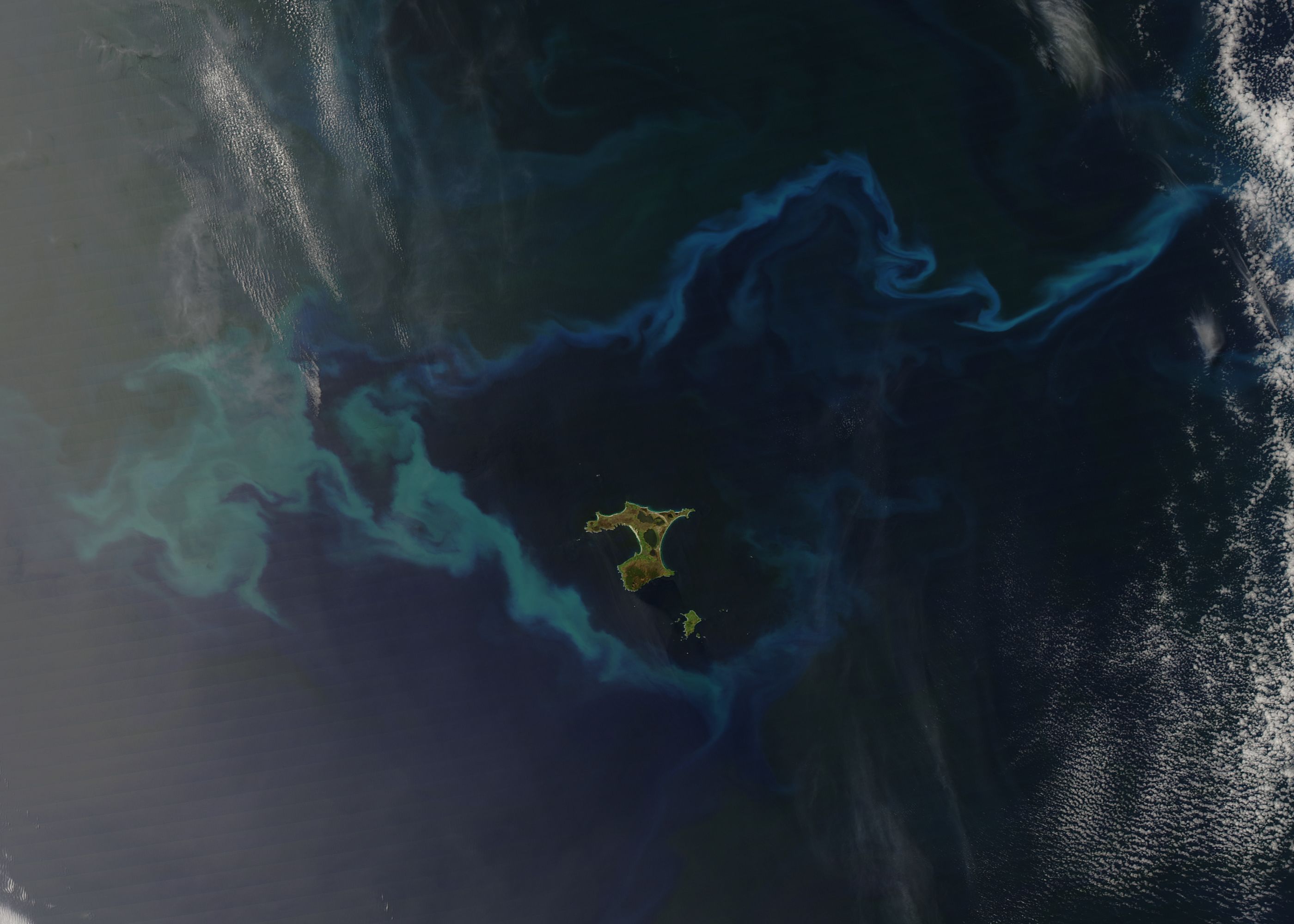 Plankton Bloom Surrounds Chatham Islands - related image preview