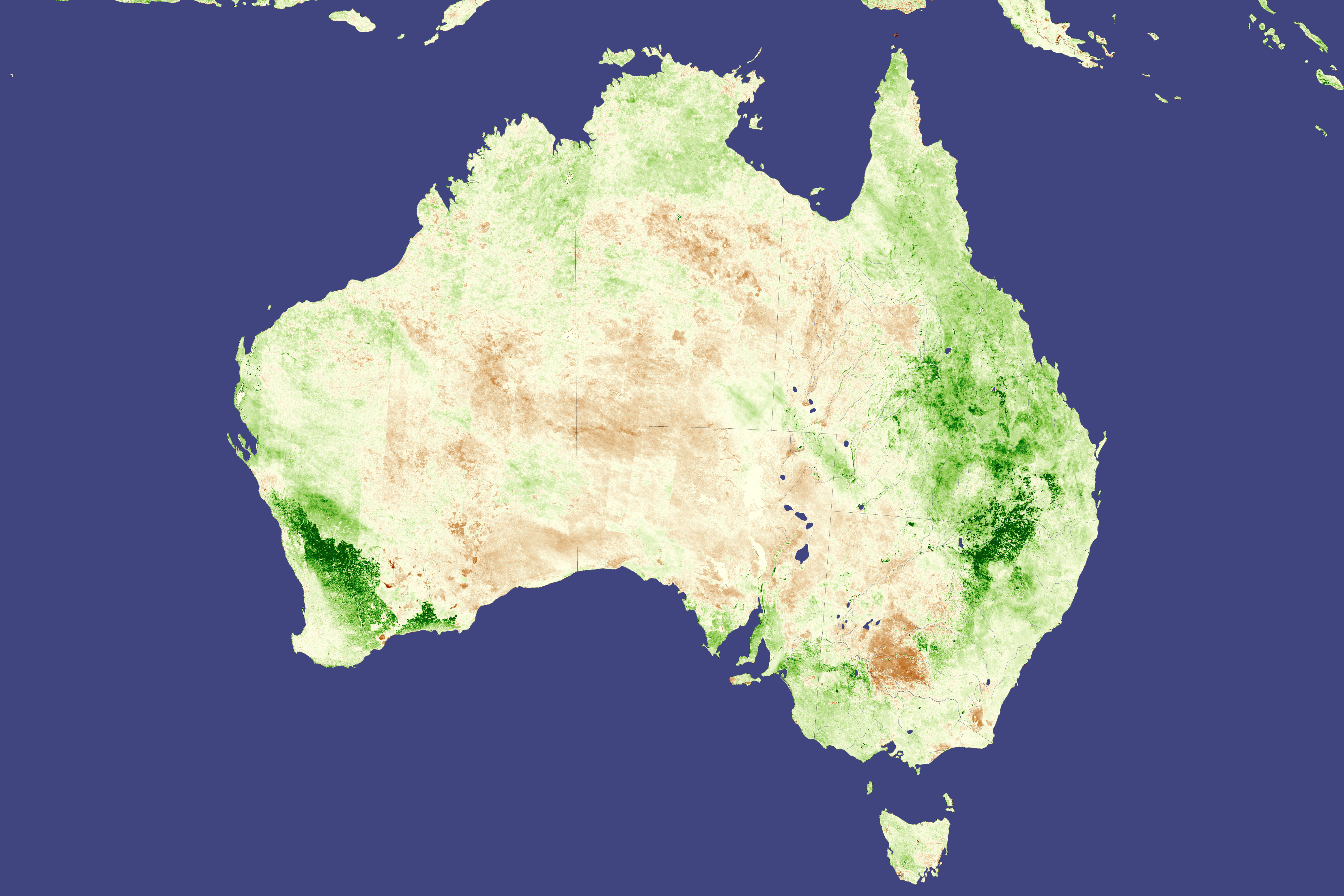 Locusts in Australia - related image preview