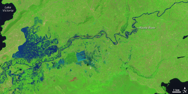 Flooding on the Nzoia River - related image preview