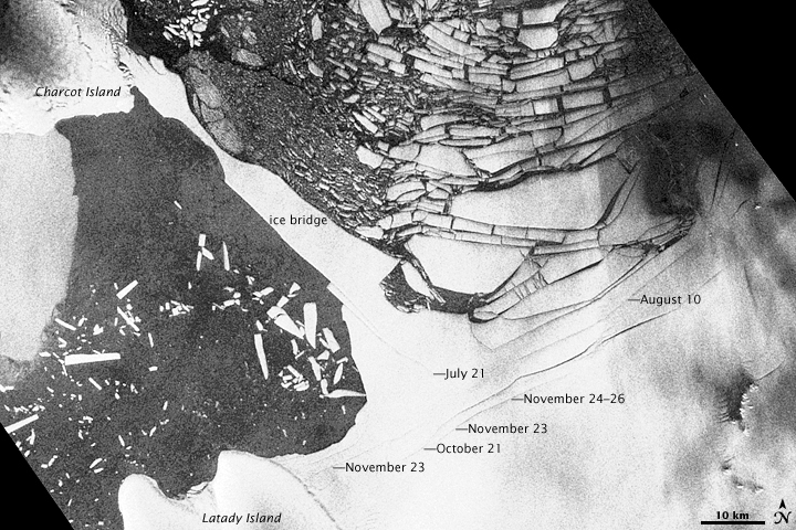 New Cracks in the Wilkins Ice Shelf