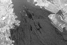 2007 San Francisco Bay Oil Spill