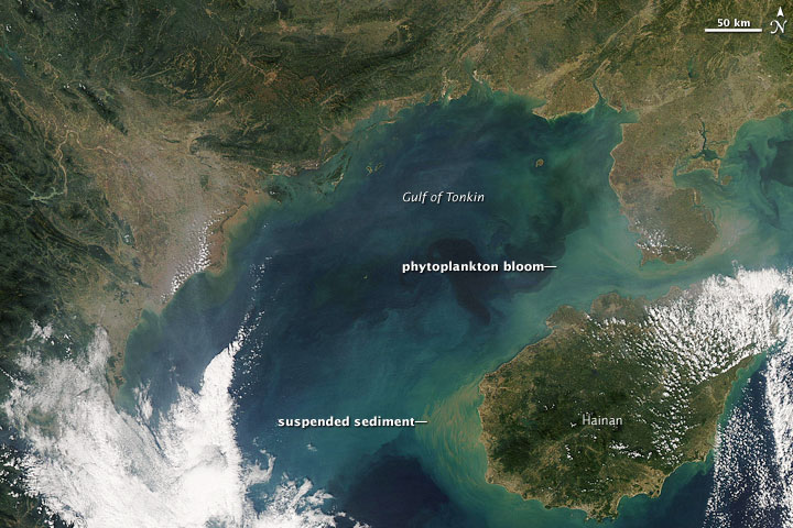 Chlorophyll in the Gulf of Tonkin