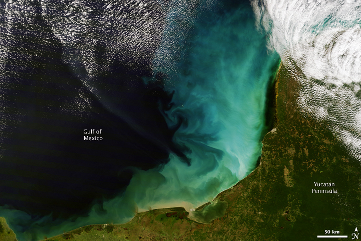 Sediment off the Yucatan Peninsula