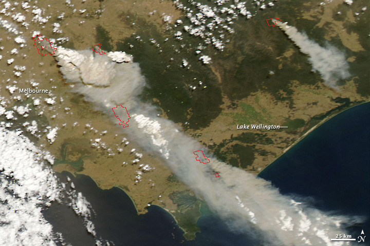 Bushfires in Southeast Australia